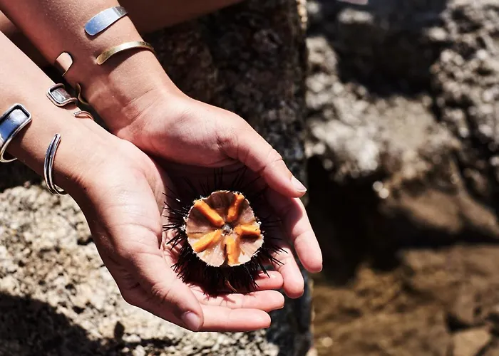 Santa Katerina - Sea View & Outdoor Hot Tub Willa *