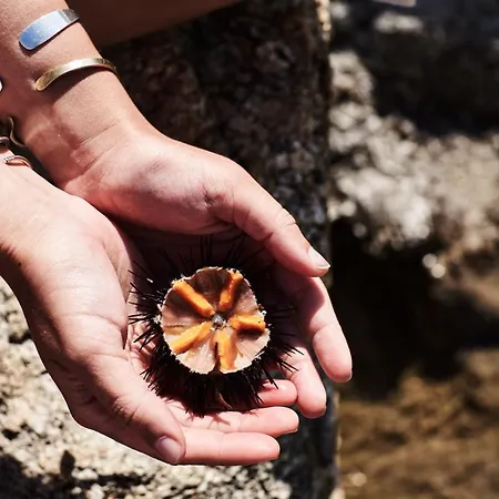 Santa Katerina - Sea View & Outdoor Hot Tub Вилла *